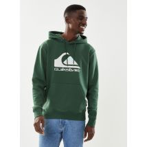 Quiksilver - Bekleidung Biglogohood M OTLR - grün - Größe XS