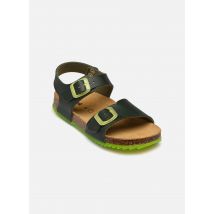 Scholl - JEAN COLLECTION Verde - Sandali e scarpe aperte - Taglia 30
