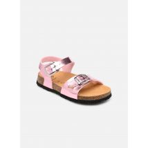 Sandalen ADALENE COLLECTION Roze - Scholl - Beschikbaar in 35