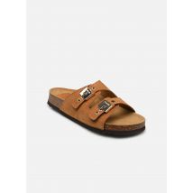 Scholl ALBA ICONIC - Mules et sabots - Disponible en 36