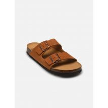 Scholl - Sandalen JULIEN COLLECTION - braun - Größe 44