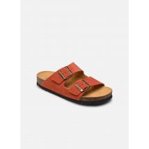 Scholl JOSEPHINE COLLECTION - Sandales et nu-pieds - Disponible en 41