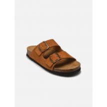 Sandales et nu-pieds JOSEPHINE COLLECTION Marron - Scholl - Disponible en 37