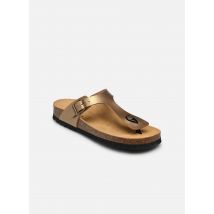 Scholl NICOLE COLLECTION - Mules et sabots - Disponible en 36