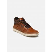 Marvin&Co Wapouli Marron - Baskets - Disponible en 44