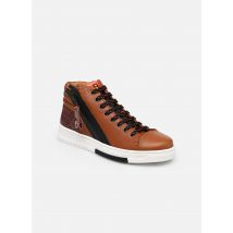 Romagnoli 1520 Marron - Baskets - Disponible en 28