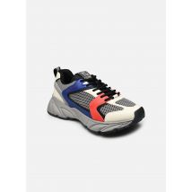 Steve Madden STANDOUT Grijs - Sneakers - Beschikbaar in 40