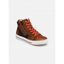 Acebo's 9982 Marron - Baskets - Disponible en 29