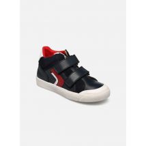 Acebo's - 5640 - Azul - Deportivas