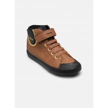 Geox J Gisli Boy C Marron - Baskets - Disponible en 31
