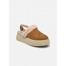 Chaussons Slipper Closed toe snk sole Beige - Colors of California - Disponible en 39