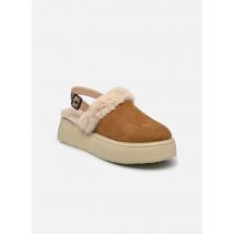 Colors of California - Pantuflas Slipper Closed toe snk sole - Beige