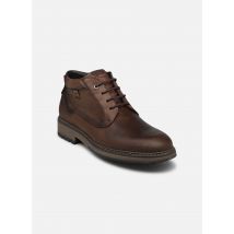 Boots en enkellaarsjes Truman F1593 Bruin - Fluchos - Beschikbaar in 44