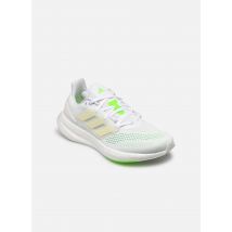 Sportschuhe Pureboost 22 M Weiß - adidas performance - Größe 40
