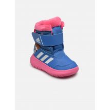 adidas performance - Stiefel Winterplay Frozen I - blau - Größe 24