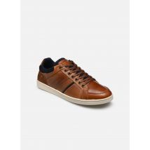 Redskins - IXIA - Bruin - Sneakers - Maat 41