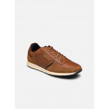 Redskins - ADORE - braun - Sneaker - Größe 42