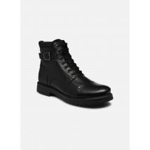 Redskins - Stiefeletten & Boots TENDANCE - schwarz - Größe 41