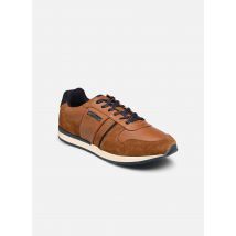 Redskins - AFFAIRI - braun - Sneaker - Größe 40