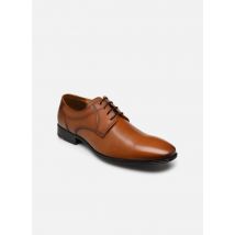 Chaussures à lacets OSMOND Marron - Lloyd - Disponible en 46