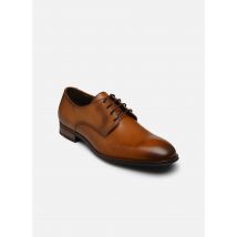 Lloyd - Veterschoenen SABRE - Bruin - Maat 44