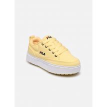 FILA - Sandblast - gelb - Sneaker - Größe 33