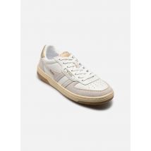 Gola HAWK W Blanc - Baskets - Disponible en 38