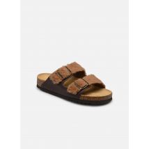 Scholl - Clogs & Pantoletten JOSEPHINE COLLECTION - braun - Größe 37