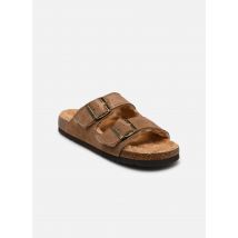 Scholl JOSEPHINE COLLECTION - Mules et sabots - Disponible en 36