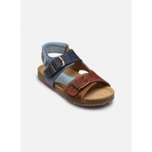 Sandales et nu-pieds 4997 LOPIN Bleu - Stones and Bones - Disponible en 24