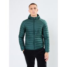 JOTT - Kleding Nico - Groen - Maat XL