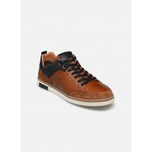Marvin&Co - WOMITA - braun - Sneaker - Größe 41
