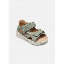 Sandales et nu-pieds LAGOON Vert - Superfit - Disponible en 24