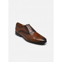 Chaussures à lacets Klep Marron - Brett & Sons - Disponible en 44