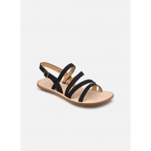 El Naturalista - Sandalias Coratina 5711 - Negro - Talla 41