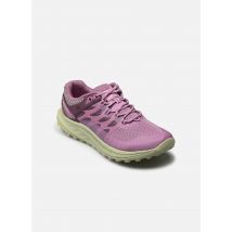 Chaussures de sport ANTORA 3 Violet - Merrell - Disponible en 39