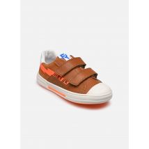 Romagnoli - 2588 - braun - Sneaker - Größe 34