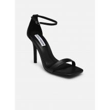 Sandales et nu-pieds Uphill Noir - Steve Madden - Disponible en 40