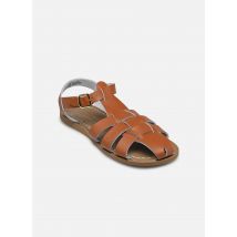 Salt-Water - SW SHARK ADULT Marrone - Sandali e scarpe aperte - Taglia 37
