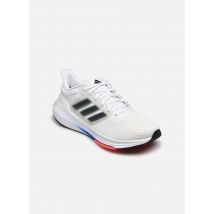 adidas performance - Sportschoenen Ultrabounce M - Wit - Maat 40