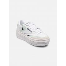 Reebok Club C Extra Blanc - Baskets - Disponible en 41
