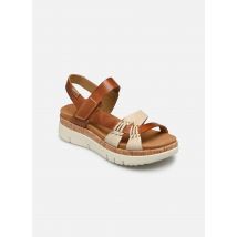 Sandales et nu-pieds PALMA W4N Beige - Pikolinos - Disponible en 40