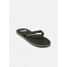 Slippers MOLOKAI CORE Groen - Quiksilver - Beschikbaar in 41