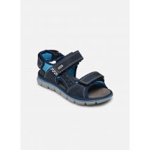 Sandalen PTV 38961 Blauw - Primigi - Beschikbaar in 28