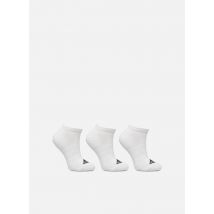 adidas sportswear - Medias y Calcetines C Spw Low 3P - Blanco - Talla XL