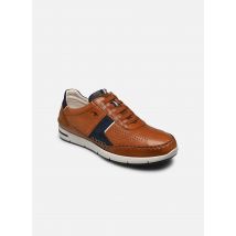 Fluchos - F1443 - braun - Sneaker - Größe 45