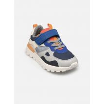 Shoo Pom - Joggy Scratch - Multicolor - Deportivas