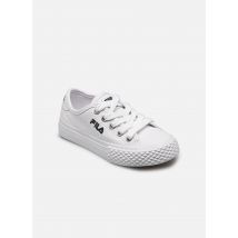 FILA Pointer Blanc - Baskets - Disponible en 32