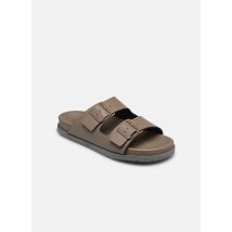 Scholl - Clogs & Pantoletten JOSEPHINE OVER COLLECTION - grün - Größe 38