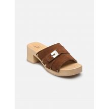 Mules et sabots PESCURA SARAH ICONIC Marron - Scholl - Disponible en 38